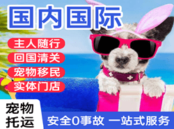 营口航空货运国际宠物托运 【国
